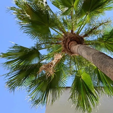 Palazzo Botta Prázdninový dům *